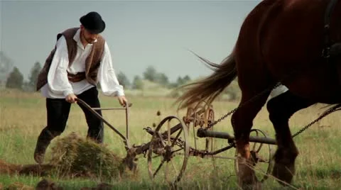Romanian farmer 2 Stock Footage