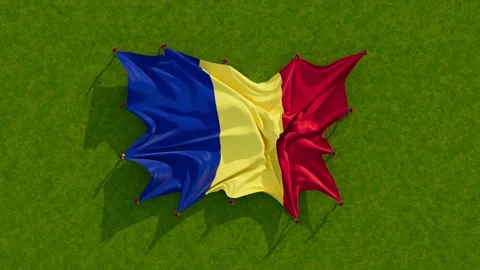 Romanian flag 動画素材 201659551