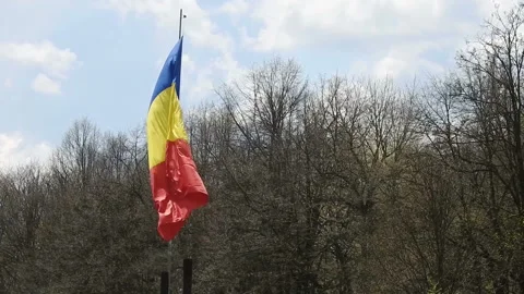 The Romanian flag waving in the wind Stock Footage 152816002