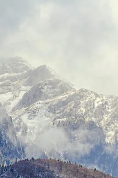 Romanian mountains range with pine forest and fog, winter time with snow Stock Photos