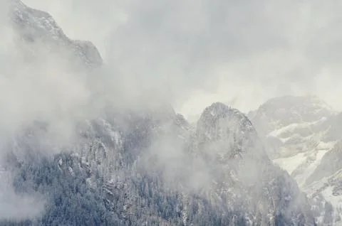 Romanian mountains range with pine forest and fog, winter time with snow Stock Photos