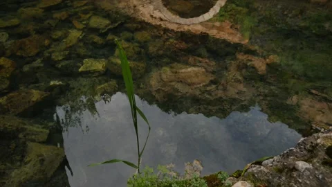 Romanian Thermal Baths (Germisara) Video stock 148548905