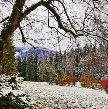 Romanian Winter Foto stock