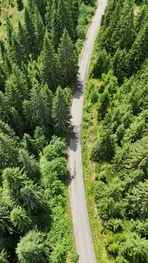 Romanian.Mountains.2.2507 Video stock 313790903