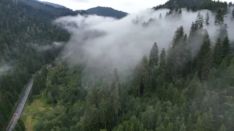 Romanian.Mountains.2507 Video stock 313446941