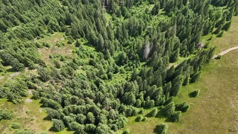 Romanian.Mountains.2507 Video stock 313787483