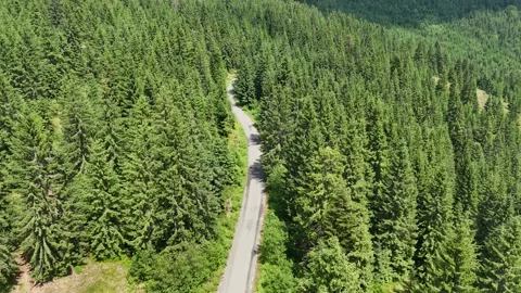 Romanian.Mountains.3.2507 Video stock 313787563