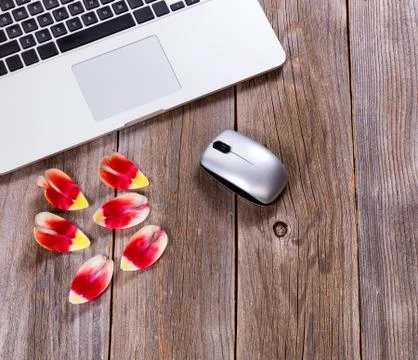Romanic flower pedals on rustic work desktop Stock Photos