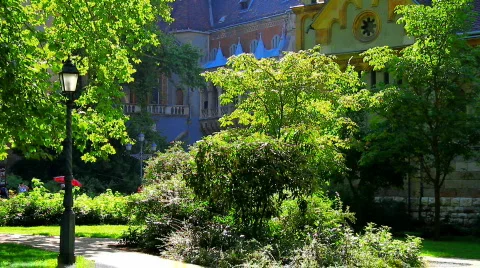 Romantic 02 스톡 동영상 856072