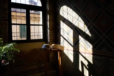 Romantic and contrast window view. Book and house plant. Spectacular scene Stock Photos