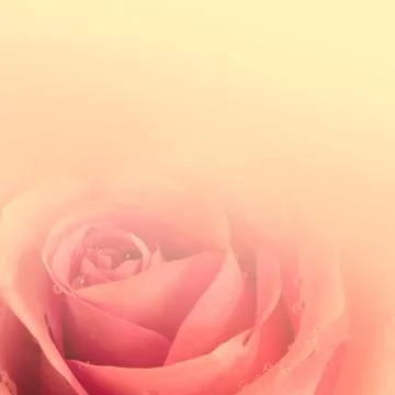 Romantic background Stock Illustration