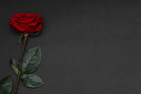 Romantic background Stock Photos