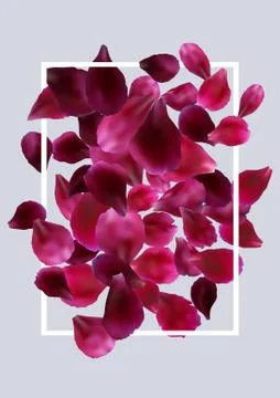 Romantic background with red, pink rose petals Stock Illustration