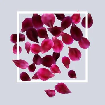 Romantic background with red, pink rose petals Stock Illustration