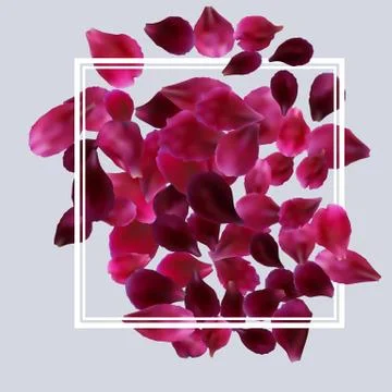 Romantic background with red, pink rose petals Stock Illustration