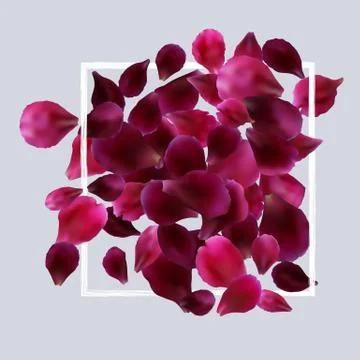 Romantic background with red, pink rose petals Stock Illustration