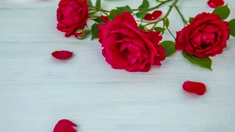 Romantic background with red rose on wood table, top view 스톡 동영상 99749287