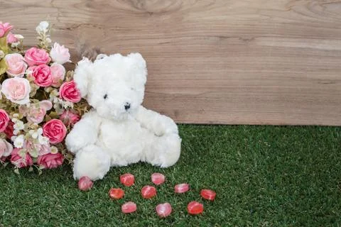 Romantic bear Stock Photos
