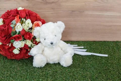 Romantic bear Stock Photos