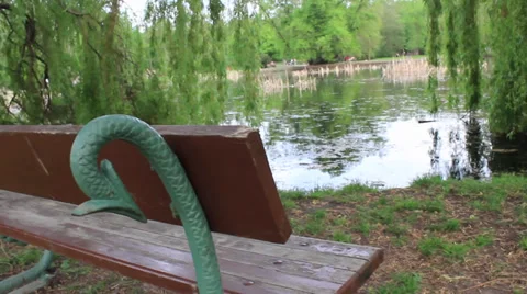 Romantic bench in the park by the lake Stock Footage 33679191