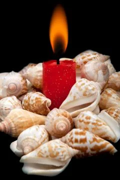 Romantic candle against the shells. Stock Photos