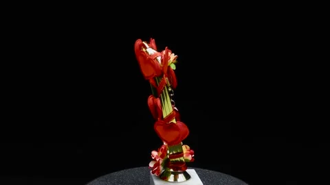 Romantic composition on a black background Stock Footage 168675494