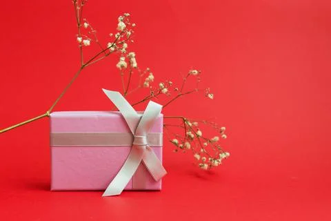 Romantic composition with gift pink box with a tied gray ribbon and a branch Stock Photos