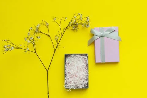 Romantic composition with gift pink box Stock Photos