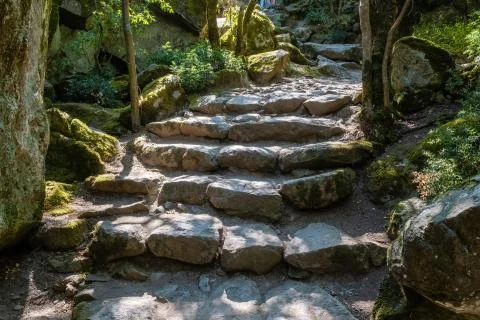 Romantic corner in the Vorontsov park. Small chaos with a stone staircase, Cr Stock Photos