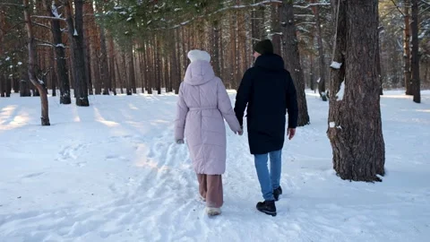 Romantic couple holding hands walking in snowy winter forest Stock Footage 330108276