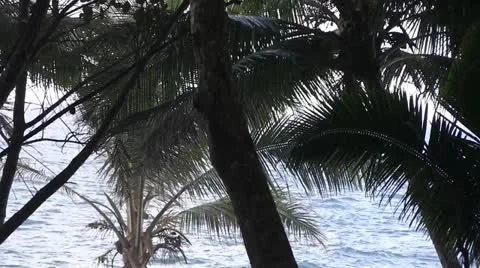 Romantic couple in love Stock Footage 24123279