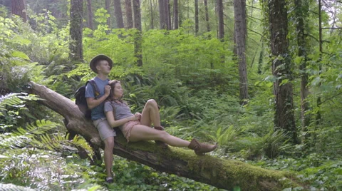 Romantic Couple Sit On A Fallen Tree In Forest, Man Strokes His Girlfriends Hair Stock Footage 68188261