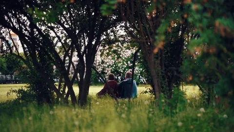 Romantic couple sitting under tree. Loving couple rest in park on grass Stock Footage 77168449