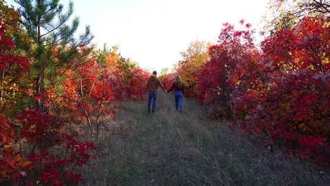 Romantic couple walking away from camera man holding woman hand in colorful red Stock Footage 99529321