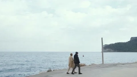 Romantic couple walking on beach Stock Footage 167372790