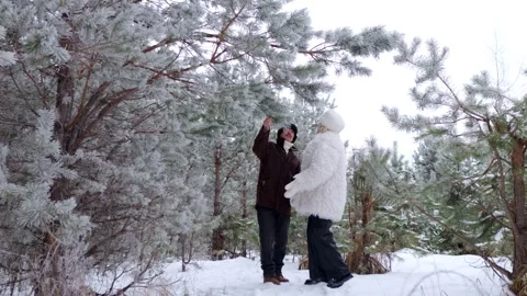 Romantic couple walking in a beautiful winter forest 스톡 동영상 330109411