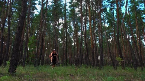 Romantic couple walking in the forest Vídeos de archivo 136510953
