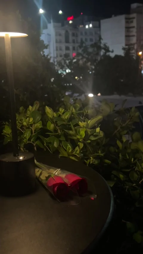 Romantic date night setting with red roses on a table, Vídeos de archivo 336849478