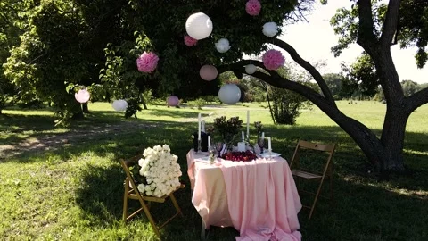 Romantic decor elements for marriage applications. Romantic outdoor dinner. Video stock 148645093