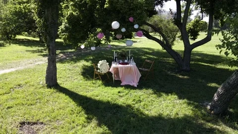 Romantic decor elements for marriage applications. Romantic outdoor dinner 動画素材 148646431