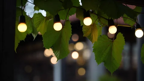Romantic dinner atmosphere with wine glasses and... Stock Footage 322933677