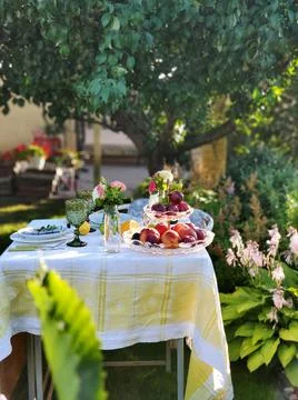 Romantic dinner in the garden Stock Photos