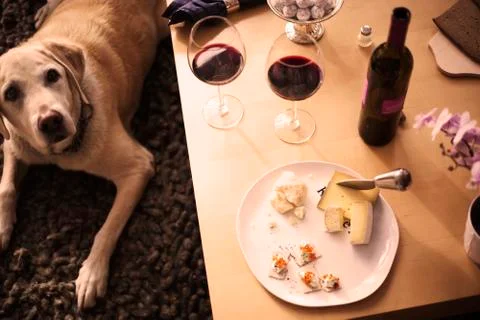 Romantic Dinner Stock Photos