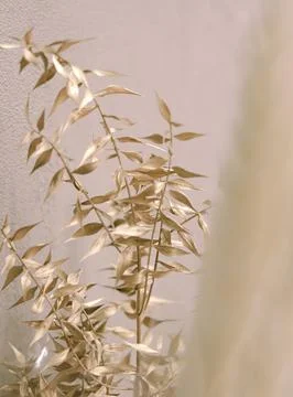 Romantic dried flowers on a solid background Foto stock