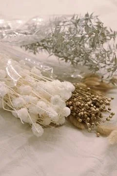 Romantic dried flowers on a solid background Foto stock
