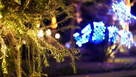 Romantic evening lights lanterns in bokeh Stock Footage 317549910