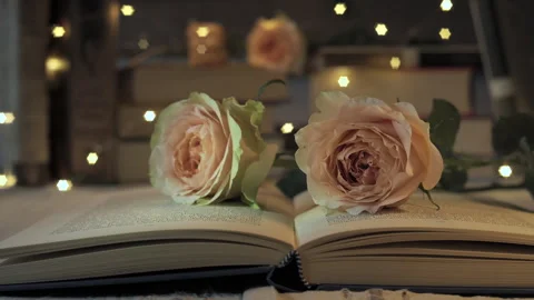 Romantic evening setup featuring an open book and delicate roses and soft Video stock 288380778