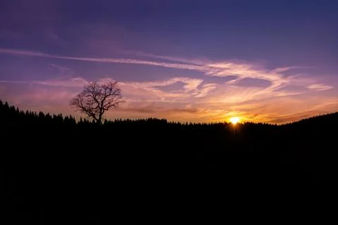 Romantic evening sky with cloud and piece of sun at sunset with lonely tree and Stock Photos