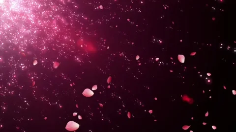 Romantic Falling Pink Rose Petals and Glitter Particles Loop Background Stock Footage 320774254
