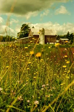 Romantic farm Foto stock